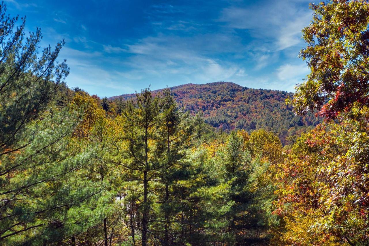 Heavenly Bearadise Cabin In Cashiers, Nc! Exterior photo